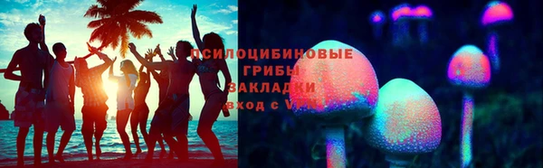 шишки Вяземский
