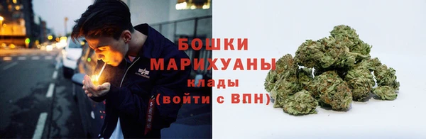 шишки Вяземский