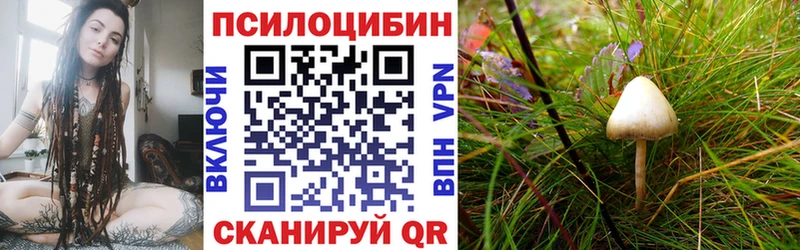 где купить наркоту  Кызыл  Псилоцибиновые грибы GOLDEN TEACHER 